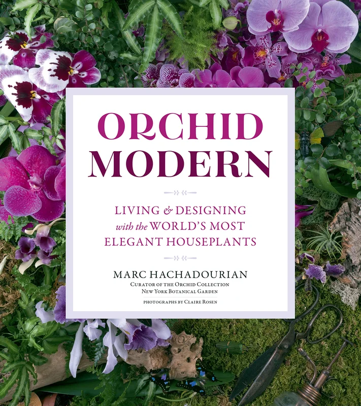 roundaboutbookstore-11652041