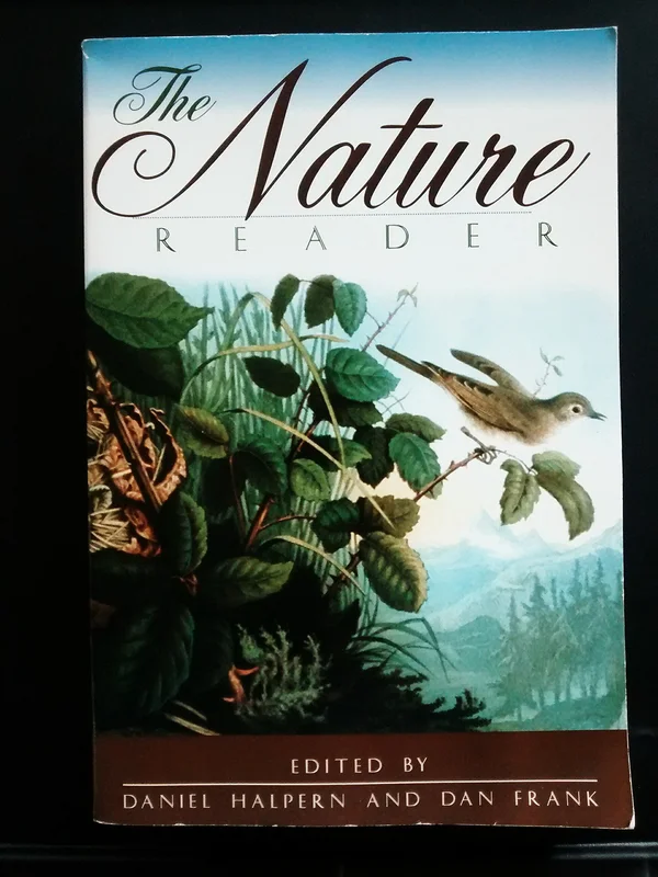 roundaboutbookstore-11659393