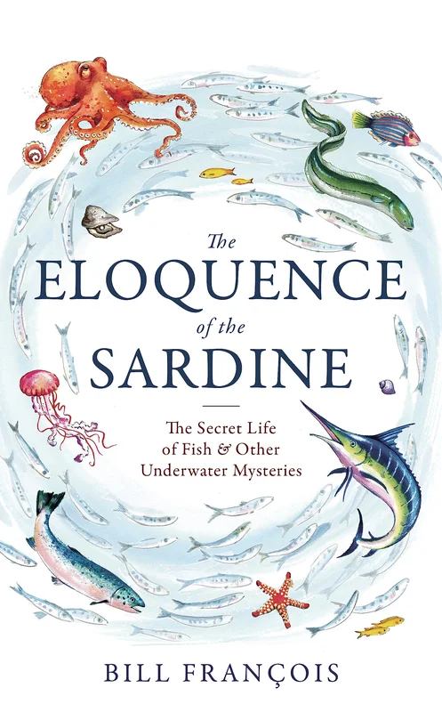 roundaboutbookstore-11659547