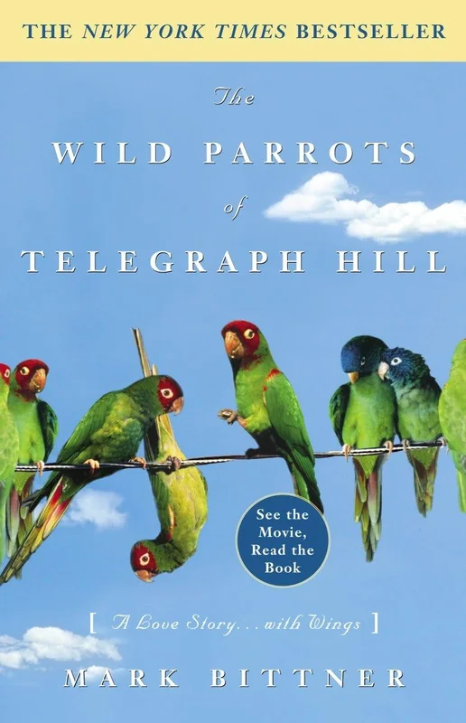 roundaboutbookstore-11663617