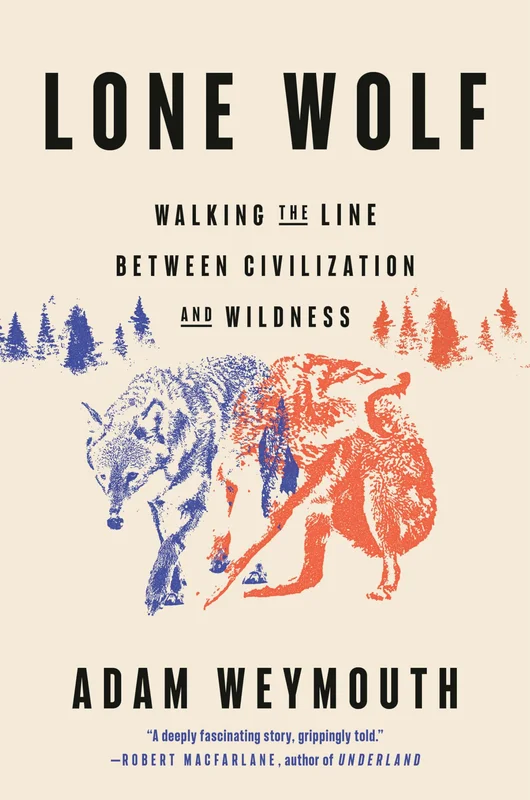 roundaboutbookstore-11702642