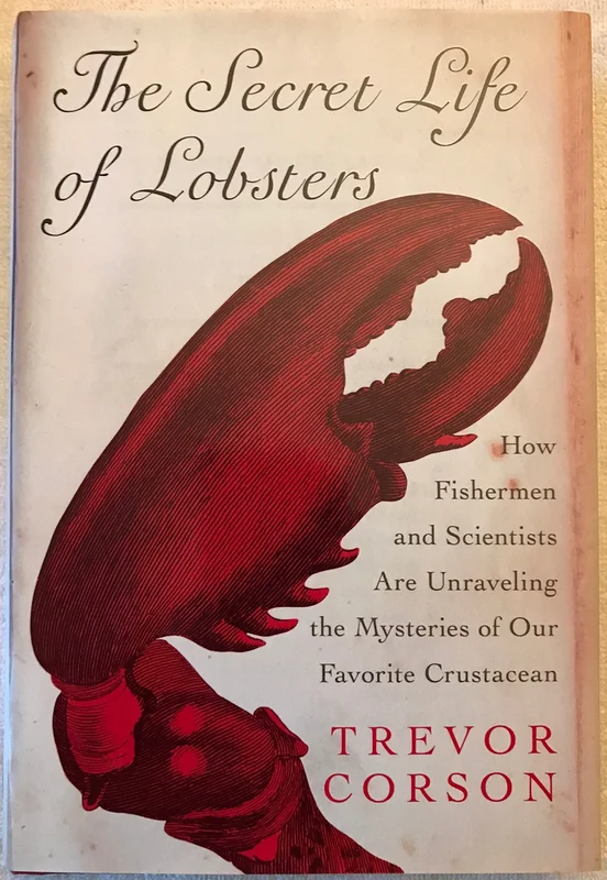 roundaboutbookstore-11729090