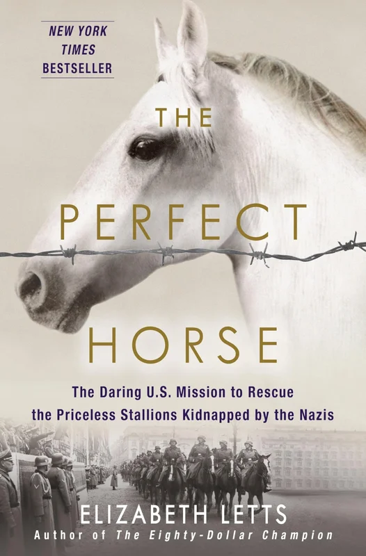 roundaboutbookstore-11733206
