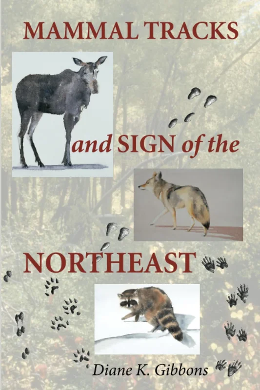roundaboutbookstore-11776483