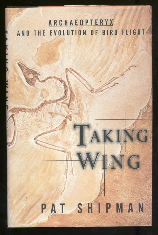 roundaboutbookstore-11826462