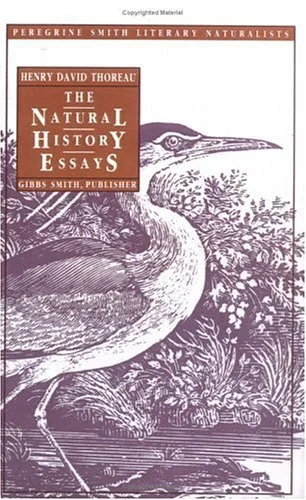 roundaboutbookstore-11886301