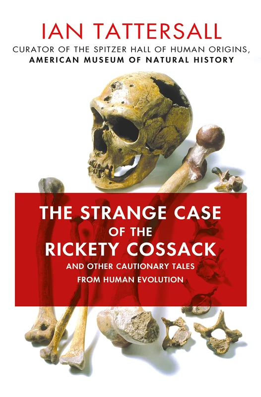 roundaboutbookstore-11889137
