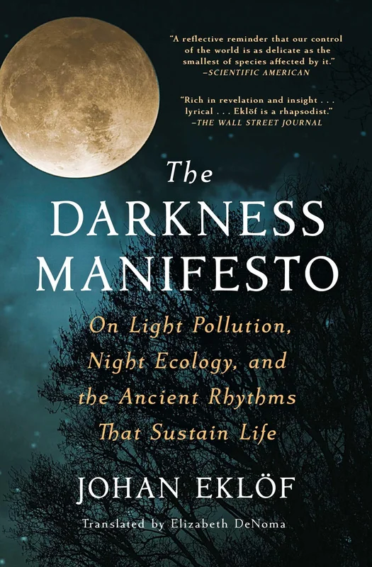 roundaboutbookstore1003462
