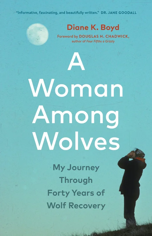roundaboutbookstore1129353