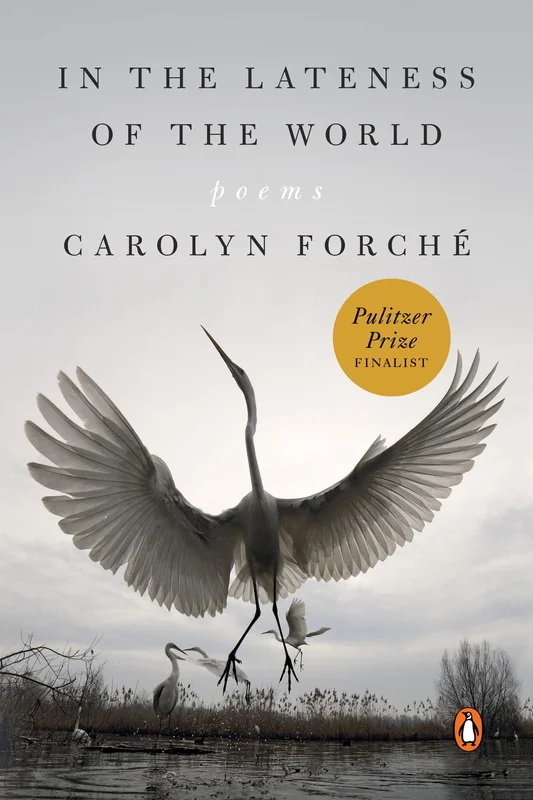 roundaboutbookstore1137077
