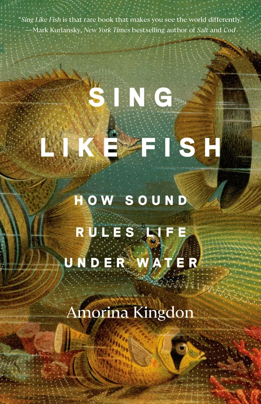 roundaboutbookstore1204530