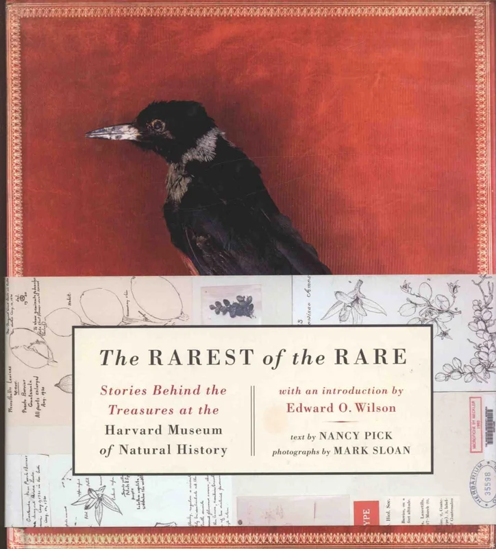 roundaboutbookstore1252545