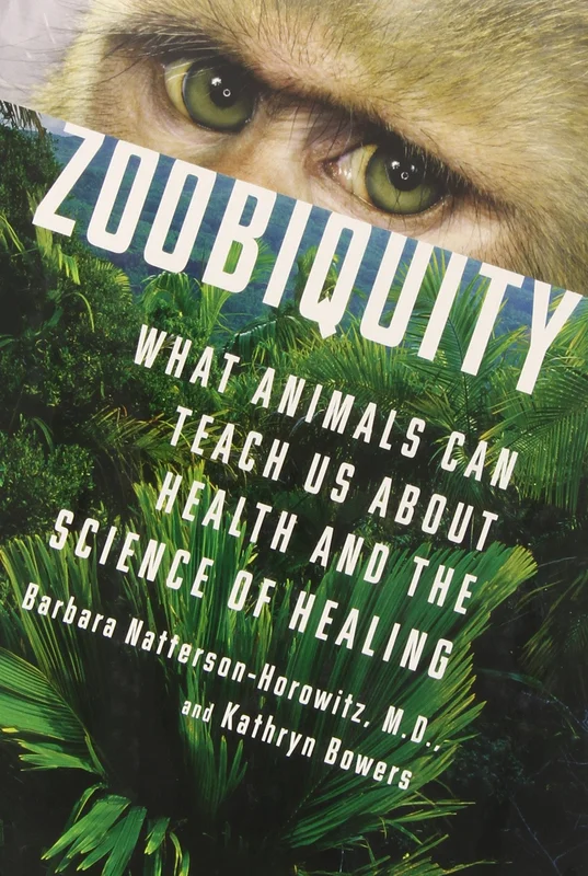 roundaboutbookstore1281678