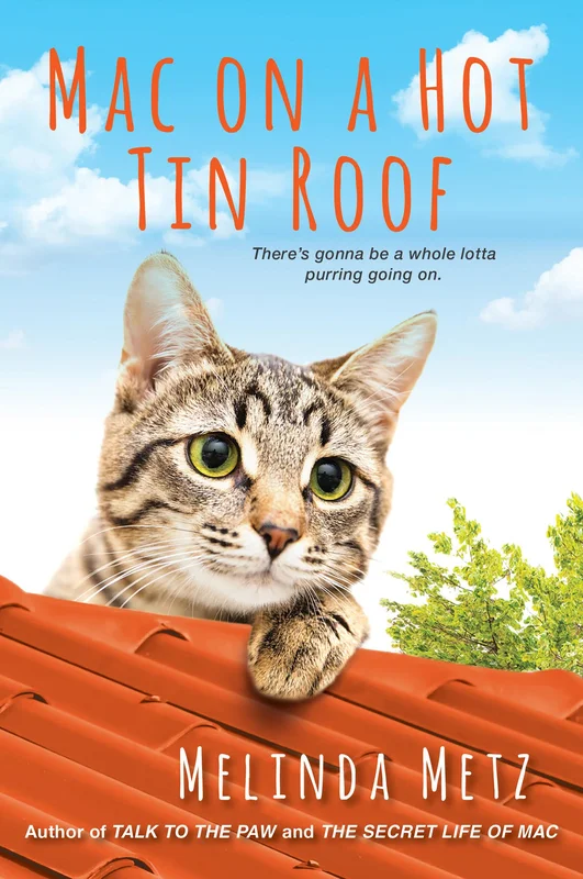 roundaboutbookstore1335588