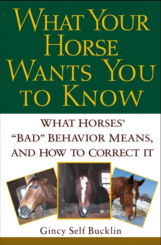 roundaboutbookstore1371821