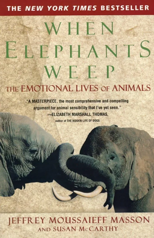 roundaboutbookstore1372449