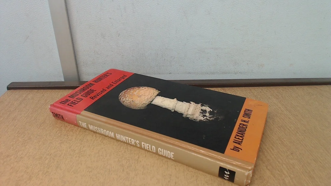 roundaboutbookstore1374608