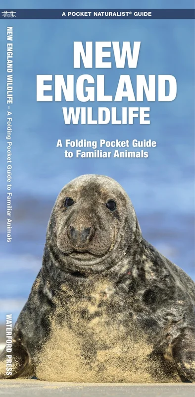 roundaboutbookstore927987