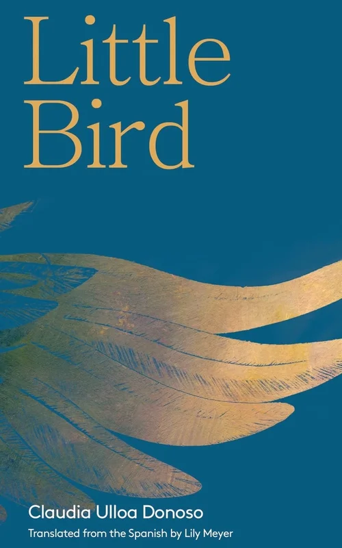 roundaboutbookstore942449