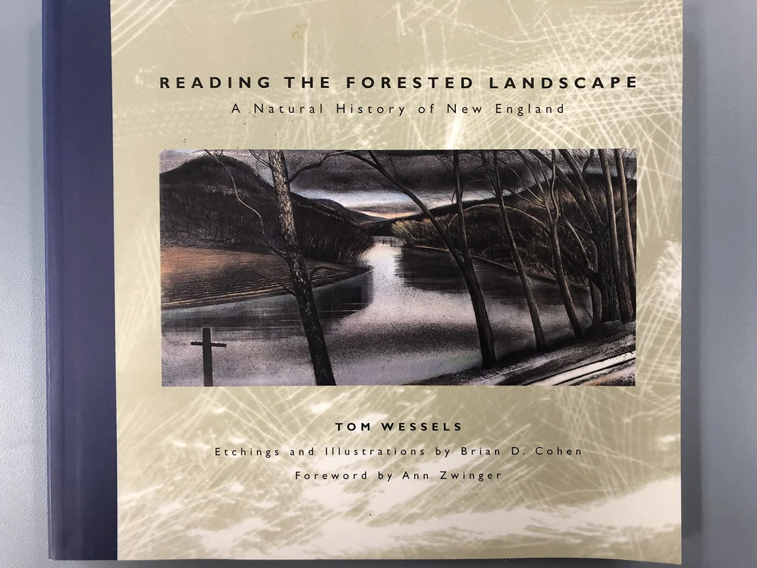 roundaboutbookstore950325