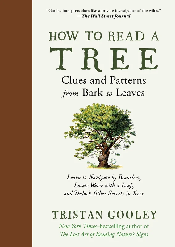 roundaboutbookstore974995
