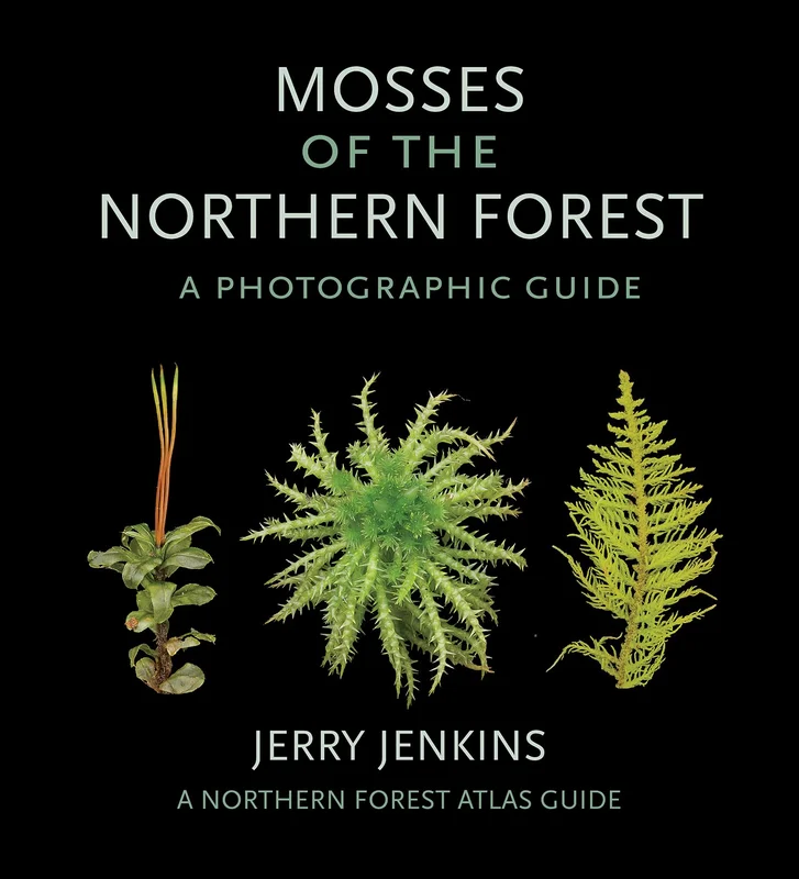 roundaboutbookstore986727