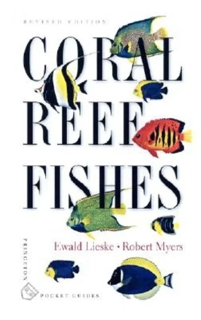worldcaribbeanbooks-1991672